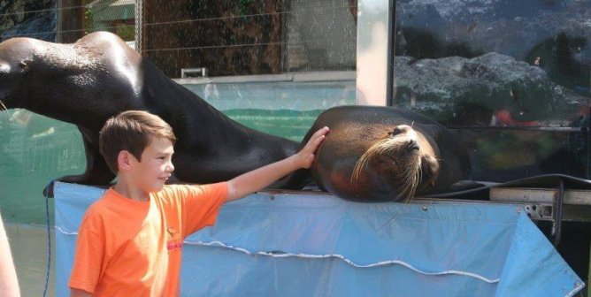 hands-on encounters teach humans dangerous lessons about interacting with wildlife