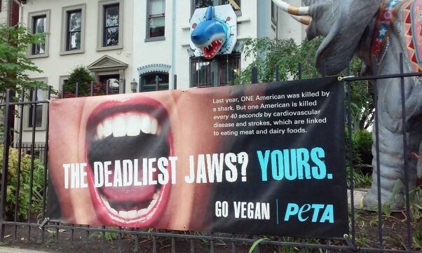 Shark Week banner at PETA D.C. office building