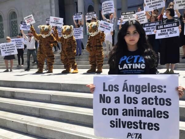 PETA rally to ban wild animal acts in Los Angeles