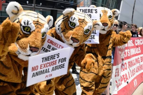 costumed PETA tigers protest animal circus acts