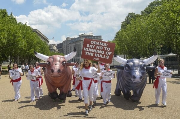 PETA Running of the Bulls DC White House 2016 1