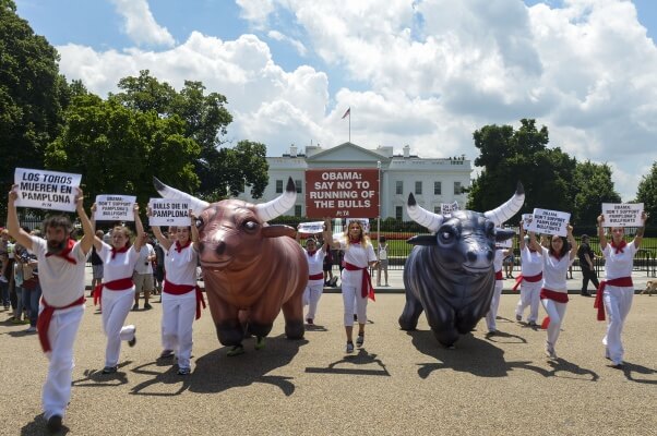 PETA Running of the Bulls DC White House 2016 2