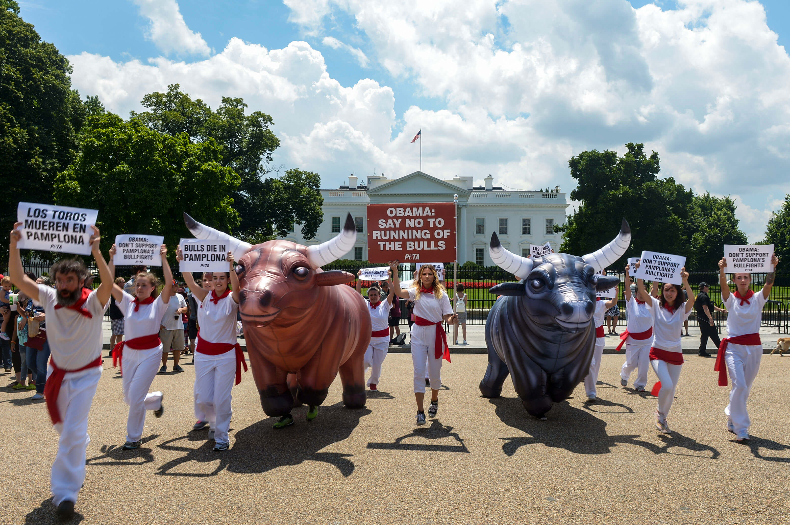 Bulls Run To The White House Tell Bull Runs Are Bulls Run To The White House Tell Bull Runs Are