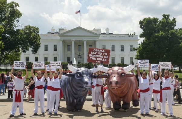 PETA Running of the Bulls DC White House 2016 3
