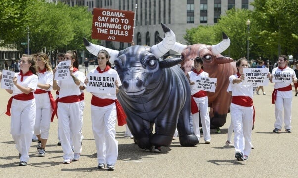 PETA Running of the Bulls DC White House 2016 4