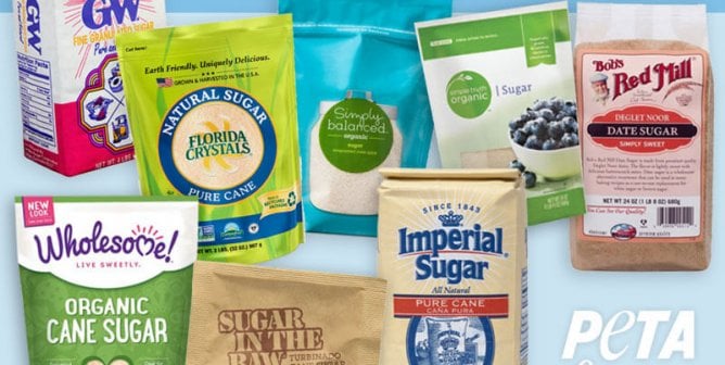 Is Sugar Vegan?