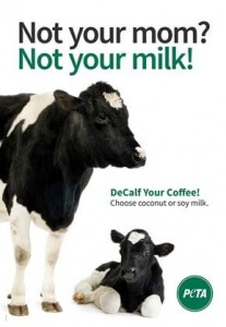 decalf latte