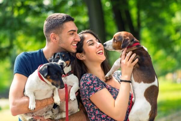 couple with dogs