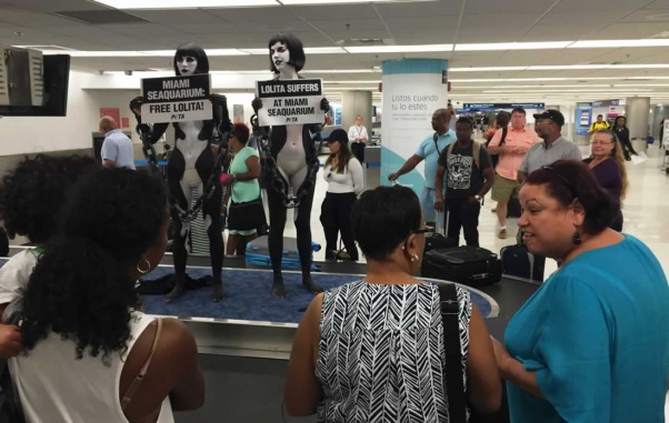 Lolita protest at Miami Airport