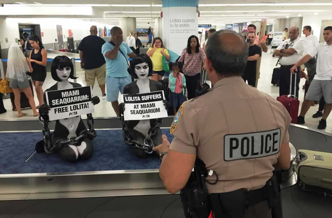 body-painted PETA supporters are arrested in Miami airport during protest of Seaquarium