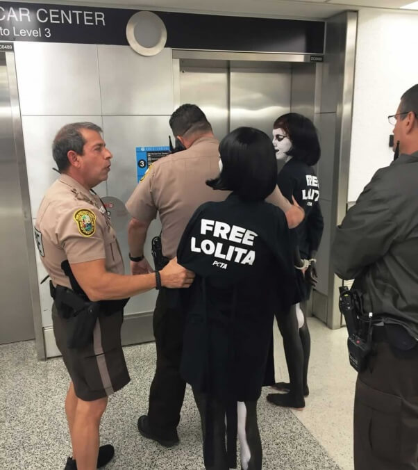 Lolita protest at Miami Airport