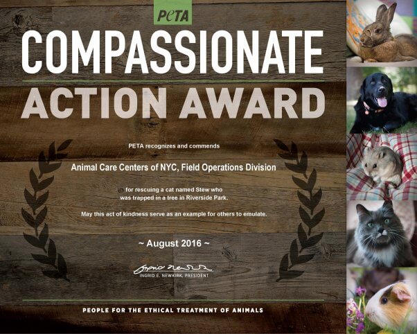 Compassionate Action_ACCNY_FieldOps_8-19