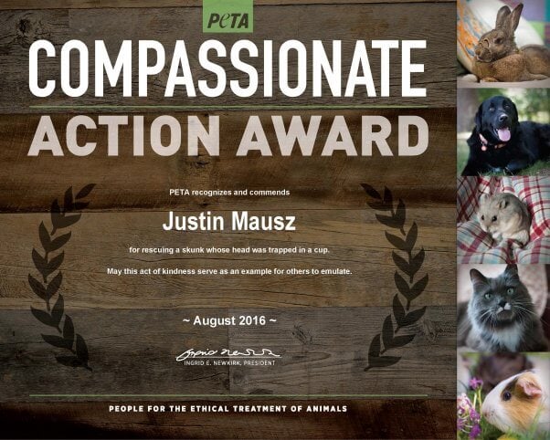 Compassionate Action_Justin Mausz