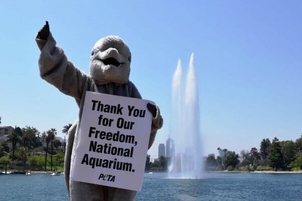 National Aquarium Dolphin Activist with Sign