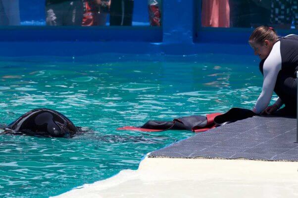 Lolita Playing with Wet Suit