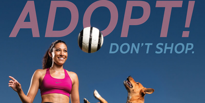 Christen Press: Adopt! Don’t Shop