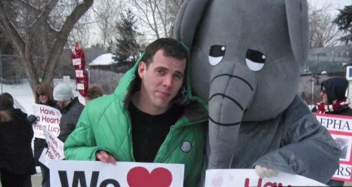 Steve o professional idiot review Steve o professional idiot review