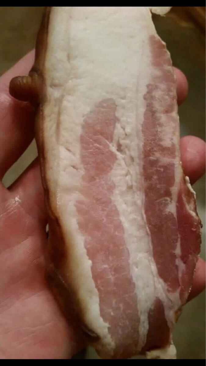 Nipple Bacon