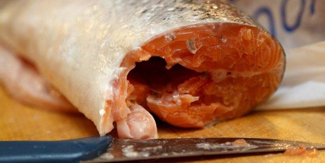 Surprise! Even Fancy Fish Dinners Come With a Garnishing of Worms