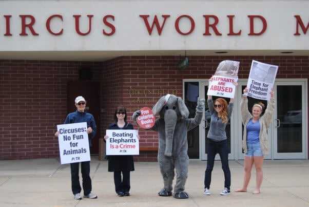 Activists, one wearing an elephant costume, protest outside the Circus World Museum: "Circuses: No Fun for Animals;" "Elephants are Abused;" "Beating Elephants is a Crime;" "Time for Elephant Freedom"