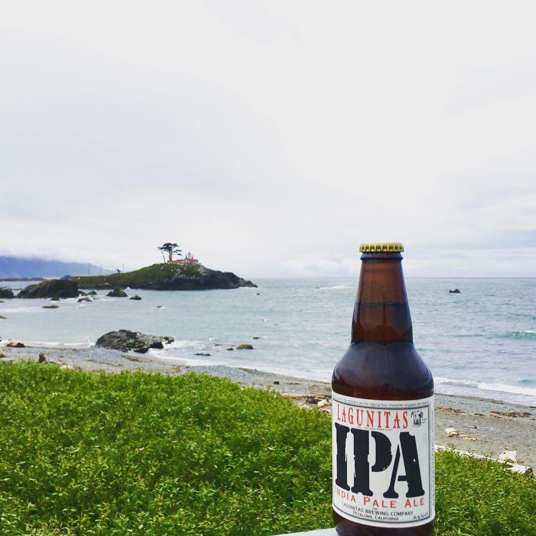 lagunitas ipa vegan beer