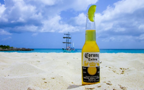 vegan beer corona