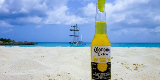 Why You Should Boycott Budweiser—Drink These Vegan Beer Brands Instead