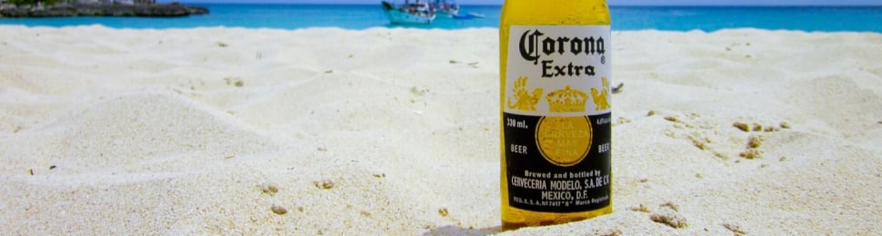 vegan beer corona