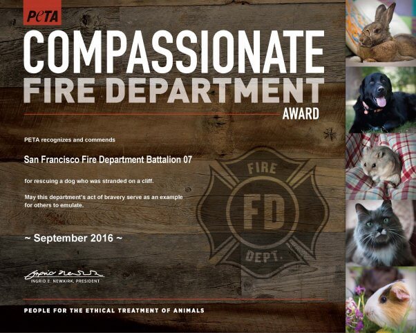 compassionate-fire-dept_b7