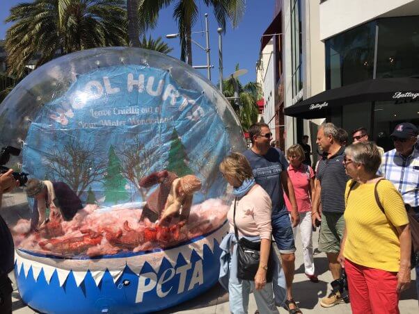 giant-snow-globe-turns-twisted-peta-display-reveals-wool-horrors-3