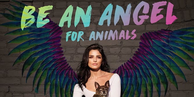 hispanic heritage month latine celebs aislinn derbez for peta