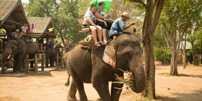 elephants and other wild animals who don't want to be touched