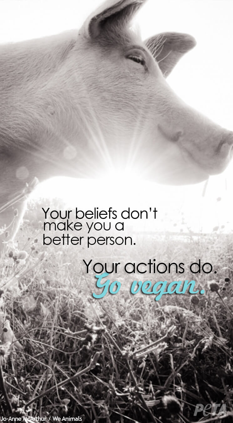 Get Your Free Animal Rights iPhone Wallpaper | PETA