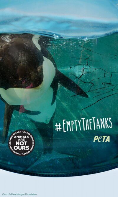 peta-iphone-empty-the-tanks