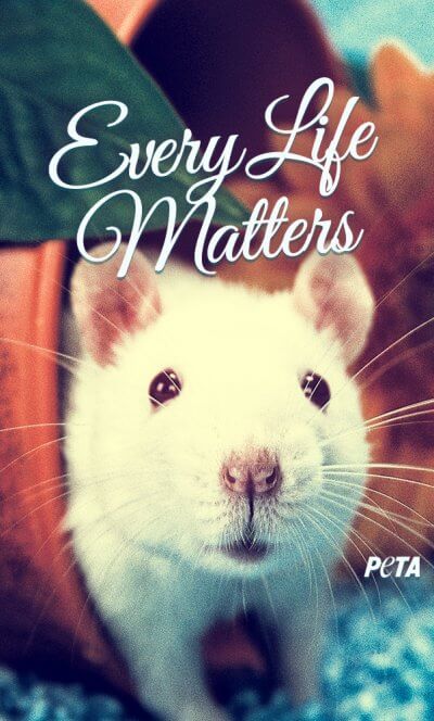 peta-iphone-every-life-matters