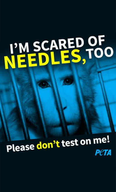 peta-iphone-im-scared-of-needles-v01