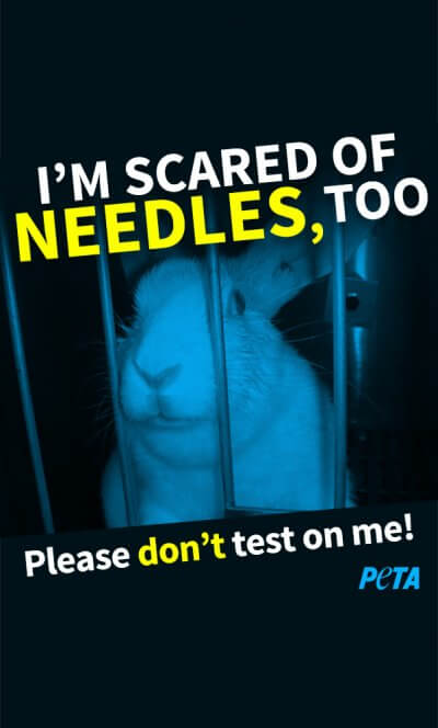 peta-iphone-im-scared-of-needles-v03-2