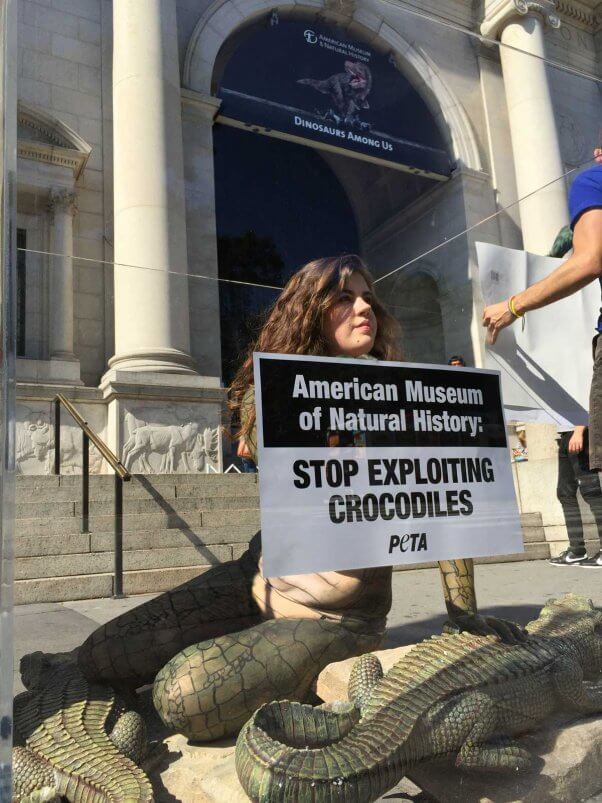 amnh-croc-demo