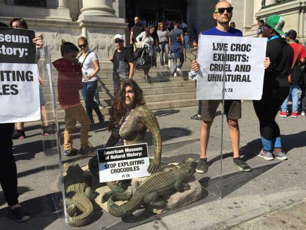 amnh-croc-demo-tank