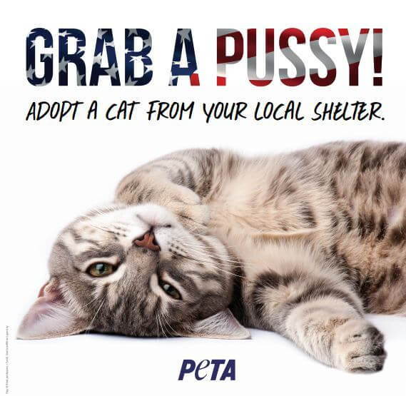"Grab a Pussy" billboard