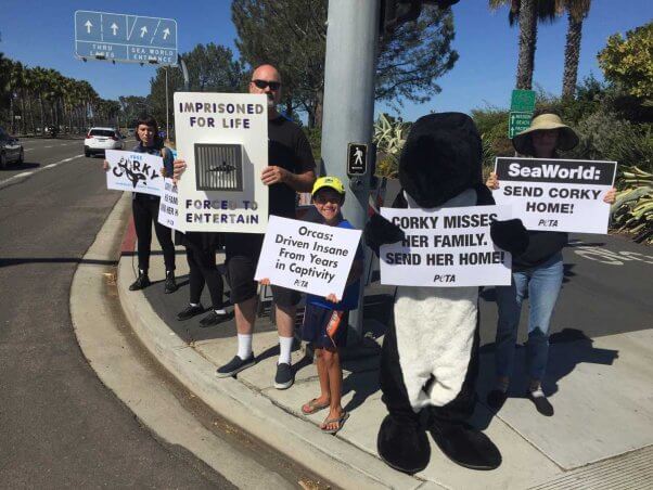 corky-seaworld-demo