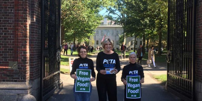 PETA Hands Out Vegan Ice Cream as Harvard Dining-Hall Staff Strikes