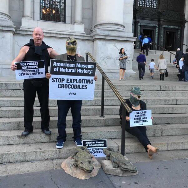 Demo at American Museum of Natural History