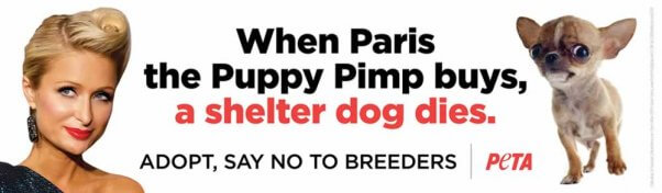 Paris Hilton, Puppy Pimp billboard