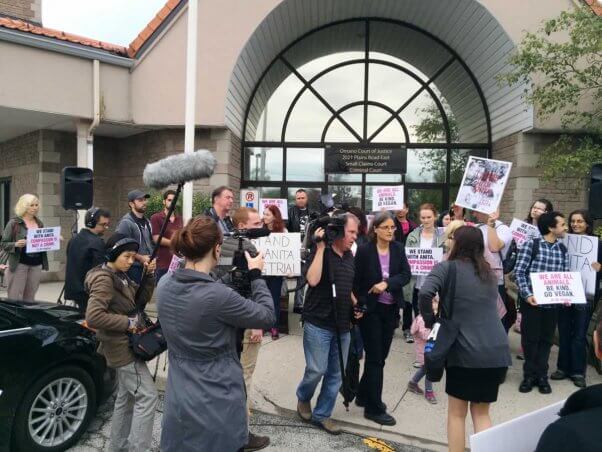 Toronto Pig Save demo