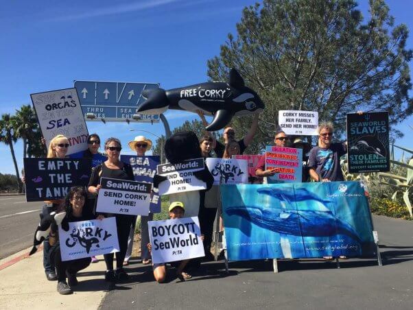 seaworld-demo-free-corky