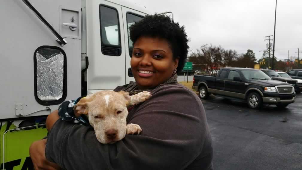 free pitbull neutering near me