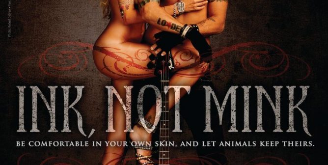 duff and susan mckagan, guns n roses