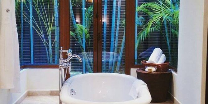 Which Hotel Chains Offer Cruelty-Free Products?