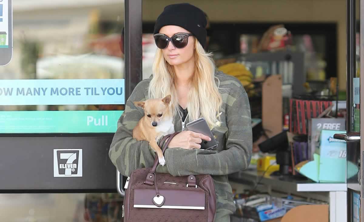 Paris Hilton with puppy